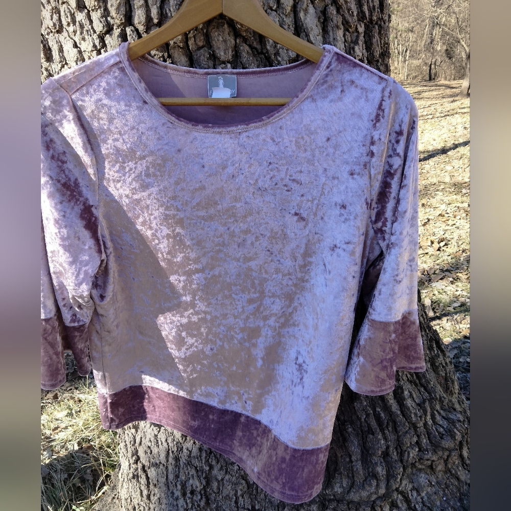Fair Lady Velvet Look Blouse in size 10